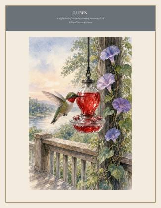 Cover of RUBEN, a night book of the ruby-throated hummingbird, by William Vincent Carleton
